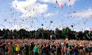 cropped action adults celebration 433452 1 |