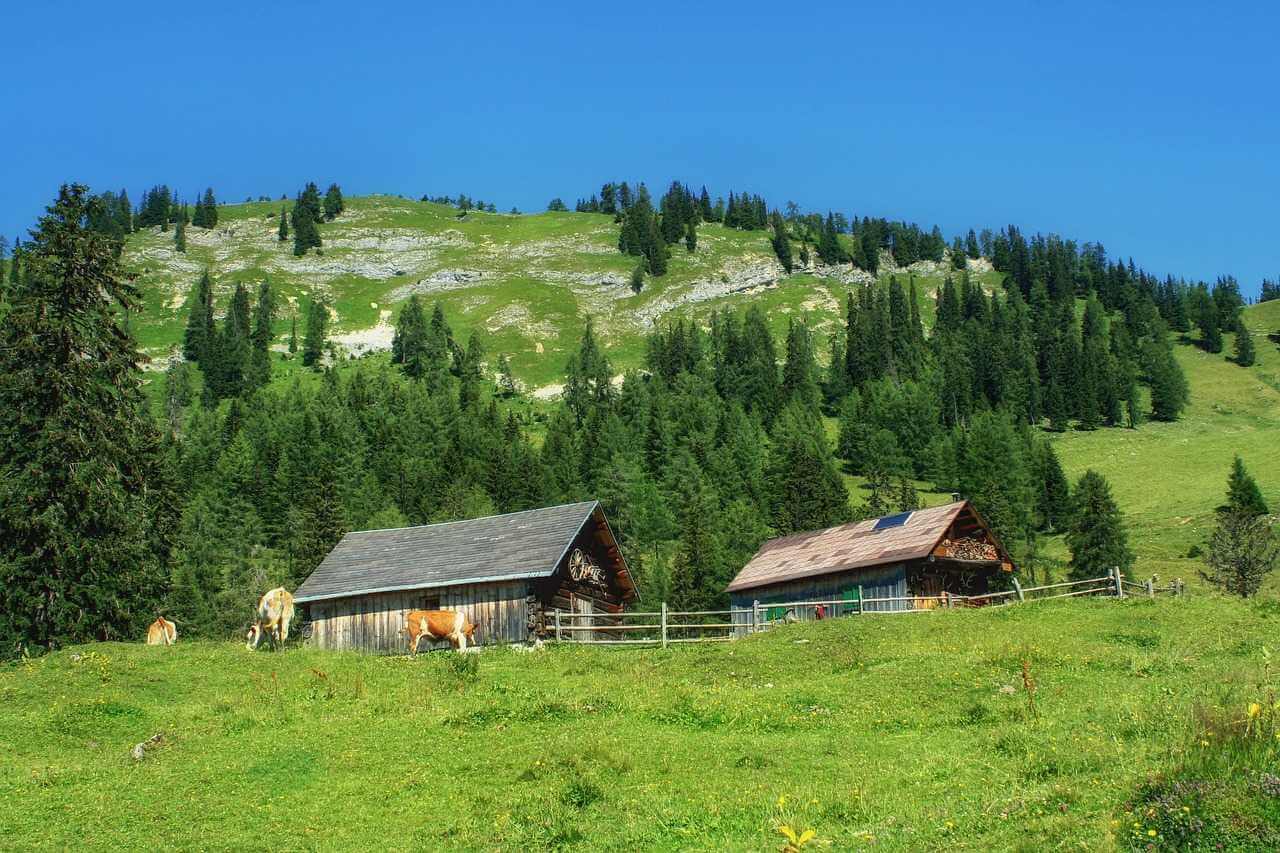 Warum denn in die Ferne reisen? | Kuhglocken statt Straßenlärm: Besonders für Großstädter lohnt es sich bei der Urlaubsplanung auch mal nicht allzu weit in die Ferne zu schauen: Unser direktes Nachbarland Österreich ist immer eine Reise wert. Und übernachtet wird am besten nicht im Hotel, sondern auf dem Bauernhof. Ein Top-Reiseziel für Familien mit Kindern – aber auch für Paare und Singles. Denn die alpine Landwirtschaft hat mehr zu bieten als Kühe auf der Alm. Was wir mit Ferien auf dem Bauernhof verbinden, das erfahrt ihr in der „Firabe Show“ auf Radio Summernight am Mittwoch Abend ab 18.00… D50D0710 C947 4C5C B5D6 7E68C6E42FB8 |