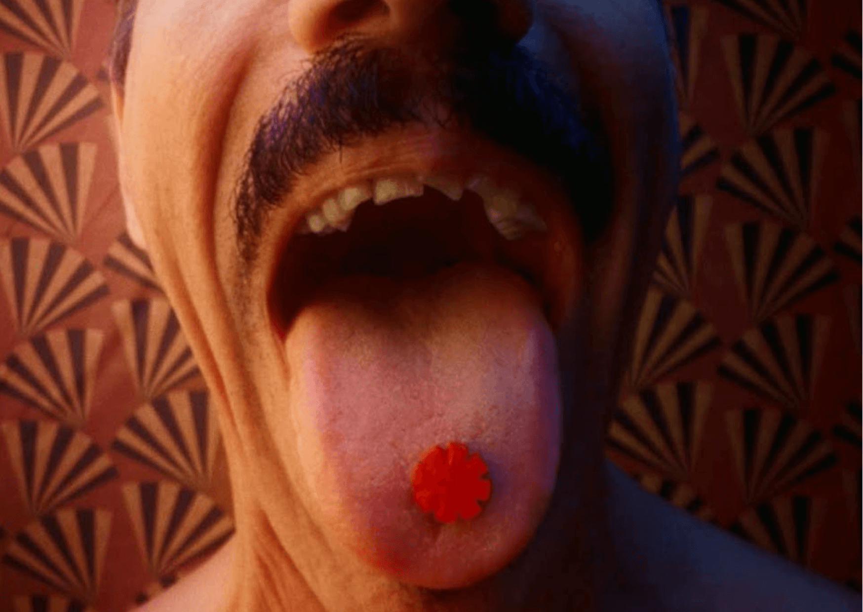 RED HOT CHILI PEPPERS: Neues Video zu "Tippa My Tongue" | Die Kalifornier sind wieder da – mit einer bewusstseinserweiternden Auftakt-Single zum kommenden Album im Oktober. F00CB26F AF9E 49C6 81CF C5AE5DDAE189 |