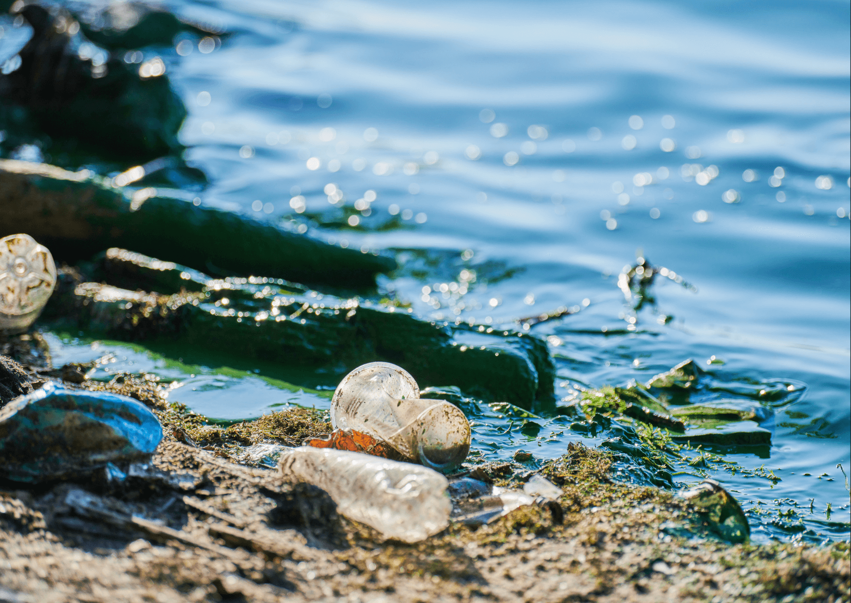 Umweltverschmutzung / Plastik im Meer | Schätzung zufolge treiben derzeit rund 150 Millionen Tonnen Plastik in den Weltmeeren und jährlich kommen bis zu 14 Tonnen dazu. Kopie von Artikel Bild radiosummernight.ch 7 |