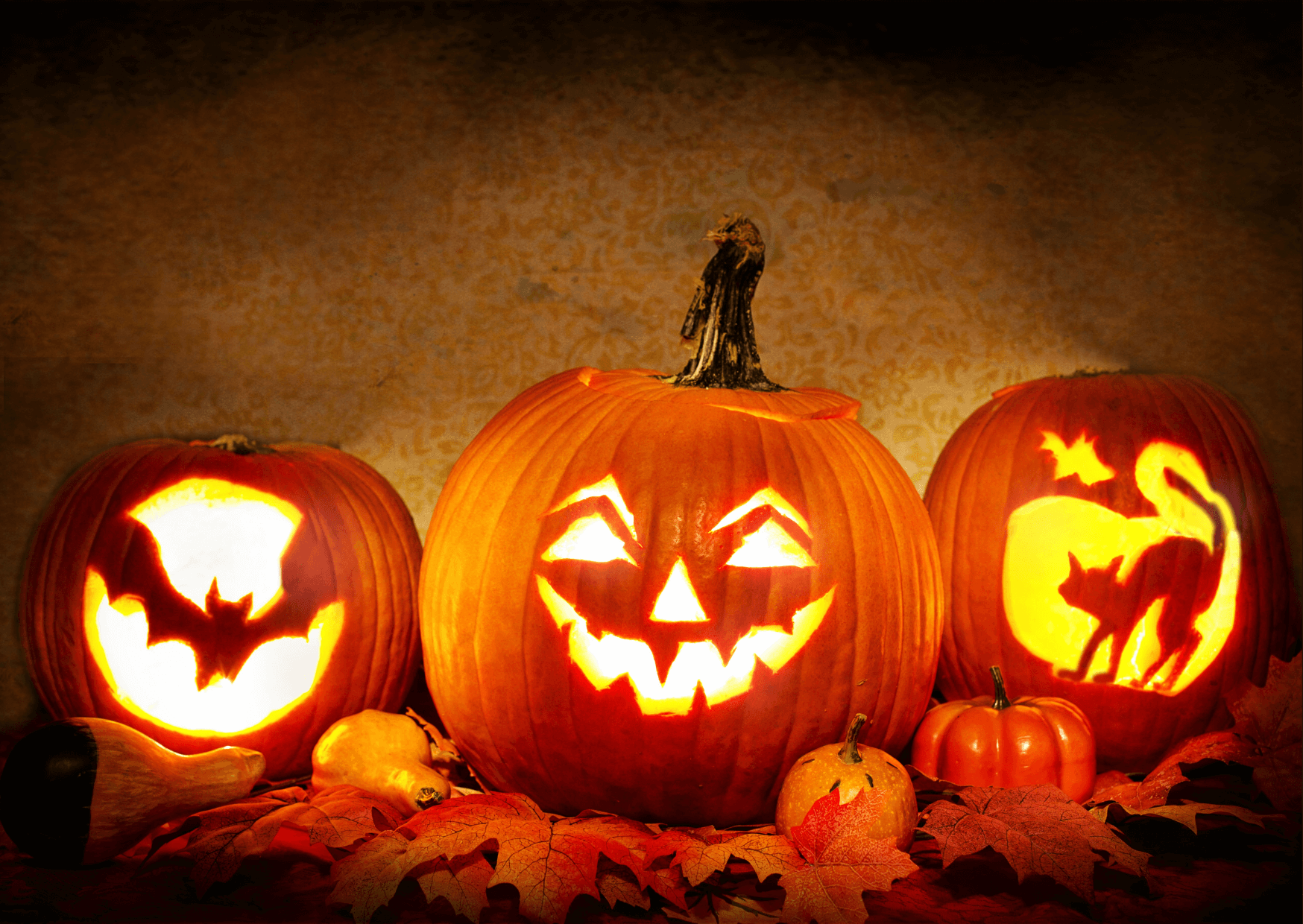 5 Halloween Fakten | Heute ist Halloween und deswegen bringen wir euch einig interessante Halloween Fakten, die Ihre wahrscheinlich nicht gewusst habt. Kopie von Artikel Bild radiosummernight.ch 9 |
