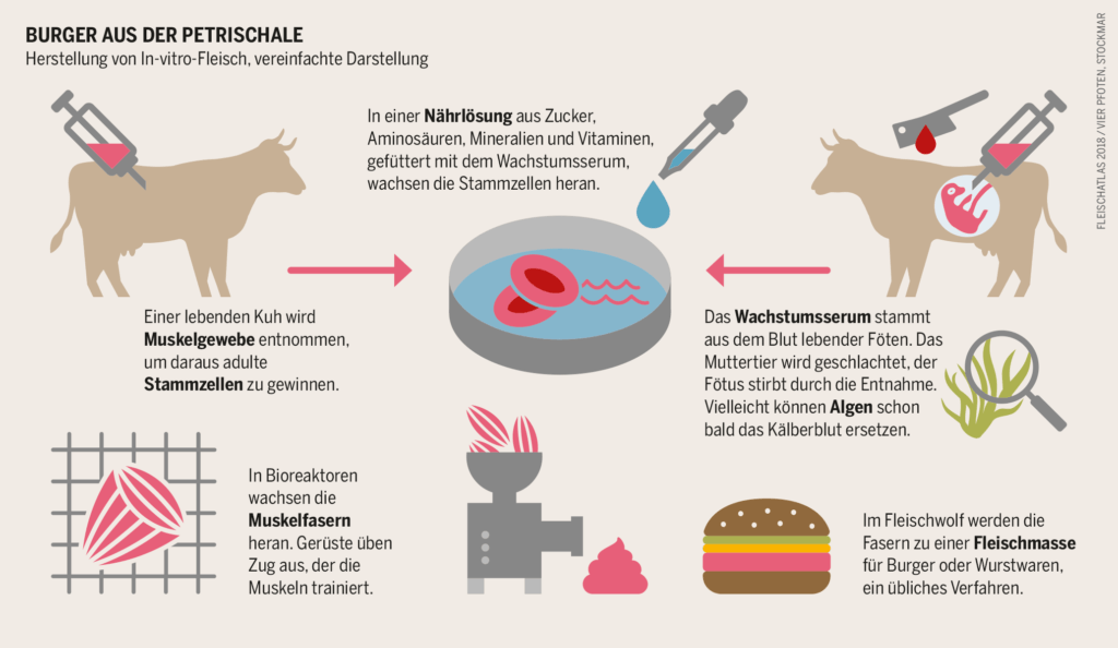 fleischatlas 2018 grafik 47a |