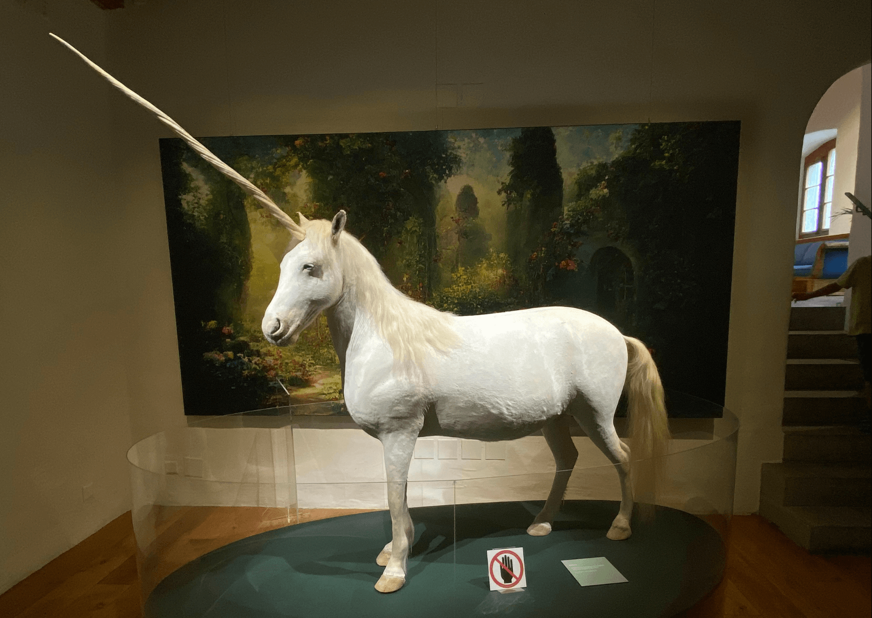 "Einhorn - Eine fabelhafte Geschichte" | Kaum ein anderes Tier übte so eine faszinierende Anziehungskraft auf die Menschen aus, wie das Einhorn. Auch in der heutigen Zeit sind Einhörner nicht aus der Popkultur wegzudenken. Sie zieren T-Shirts, WC-Papier und sogar Kondomverpackungen. Kinder lieben sie und viele Erwachsene haben eine nostalgische Verbindung zu diesen fabelhaften Geschöpfen. Was heute gilt, war aber auch schon im Mittelalter so. Einhorn. Präpariertes Kleinpferd mit Replikat eines Narwalzahns als Horn