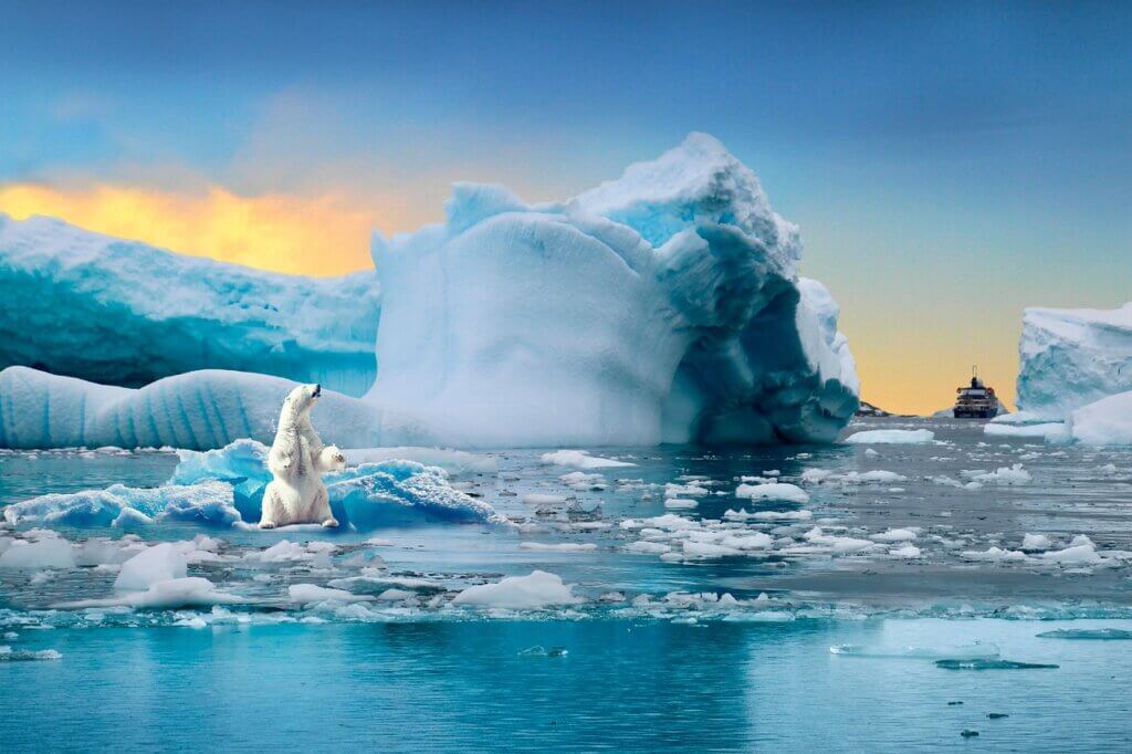 pxclimateaction, weather, nature, landscape, polar bear, ice, snow, sea, climate change, darling