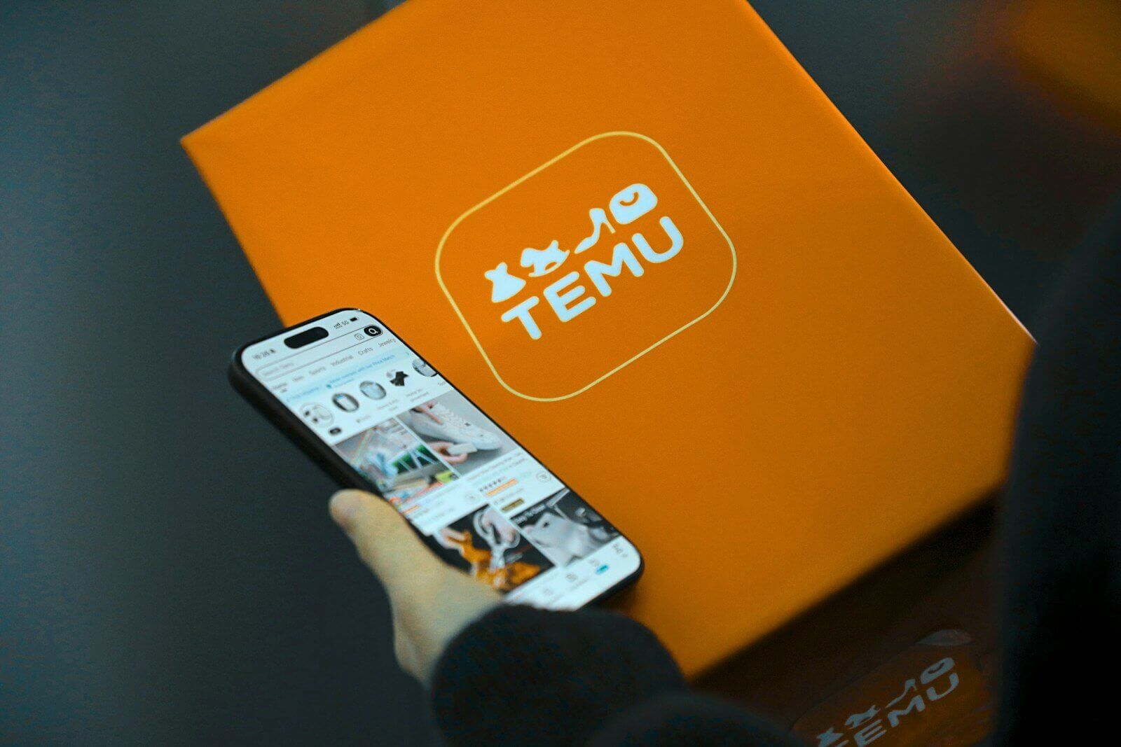 Person holding phone with temu logo box