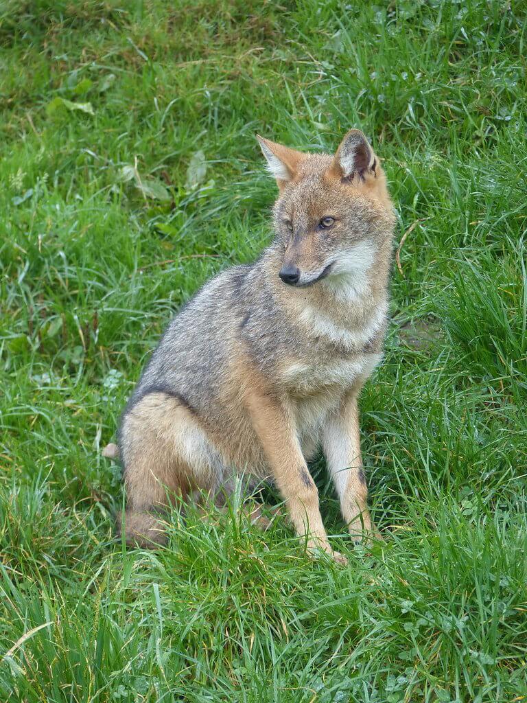 0c0bf02a 8244 4a33 b3d9 ef2ad618e8d7