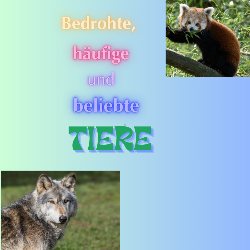 Kopie von Kopie von Kopie von Kopie von Trendieee Vibes