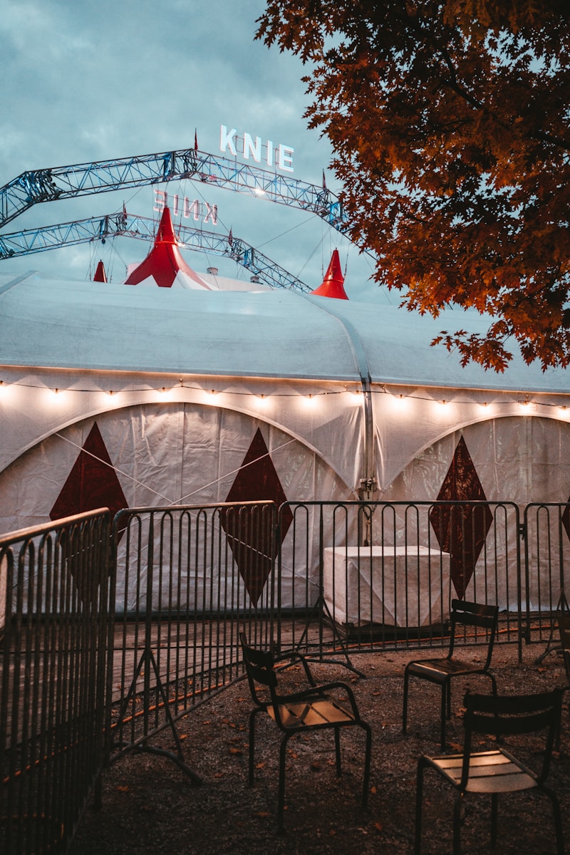 white tent near trees during daytime