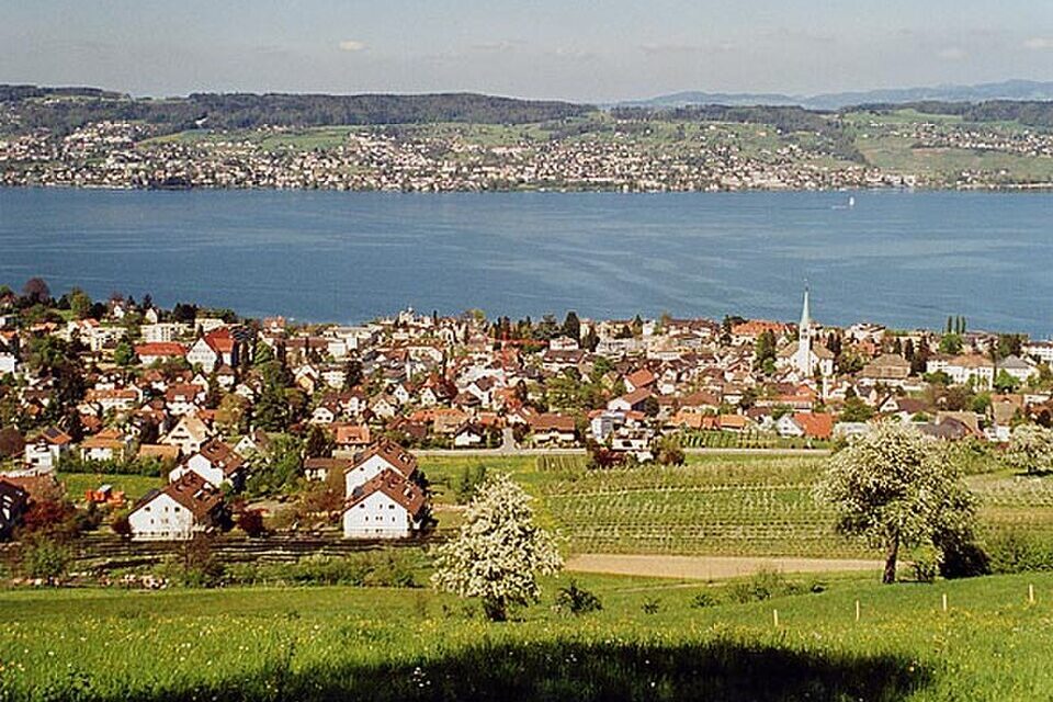 cropped Waedenswil