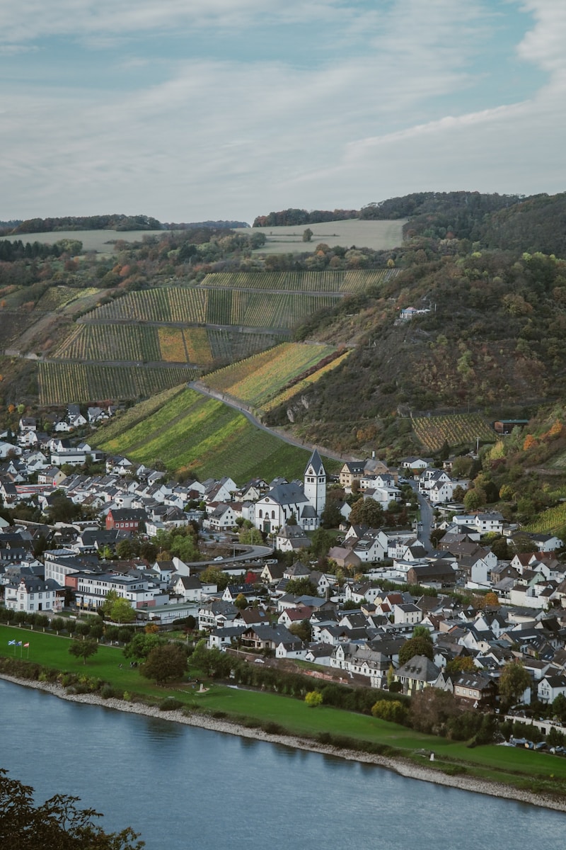 Vineyard-covered hills overlook a village by the river.
