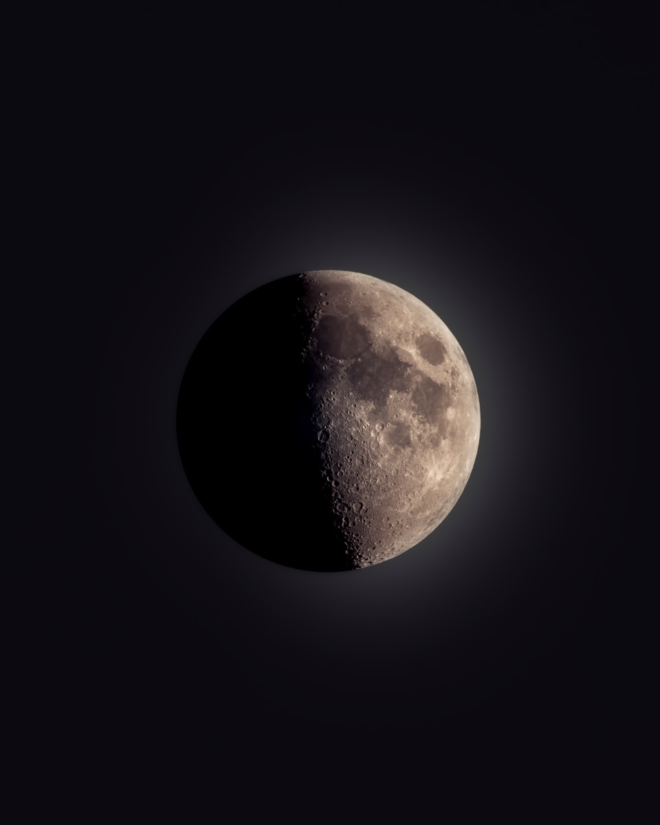 A half moon is seen in the dark sky
