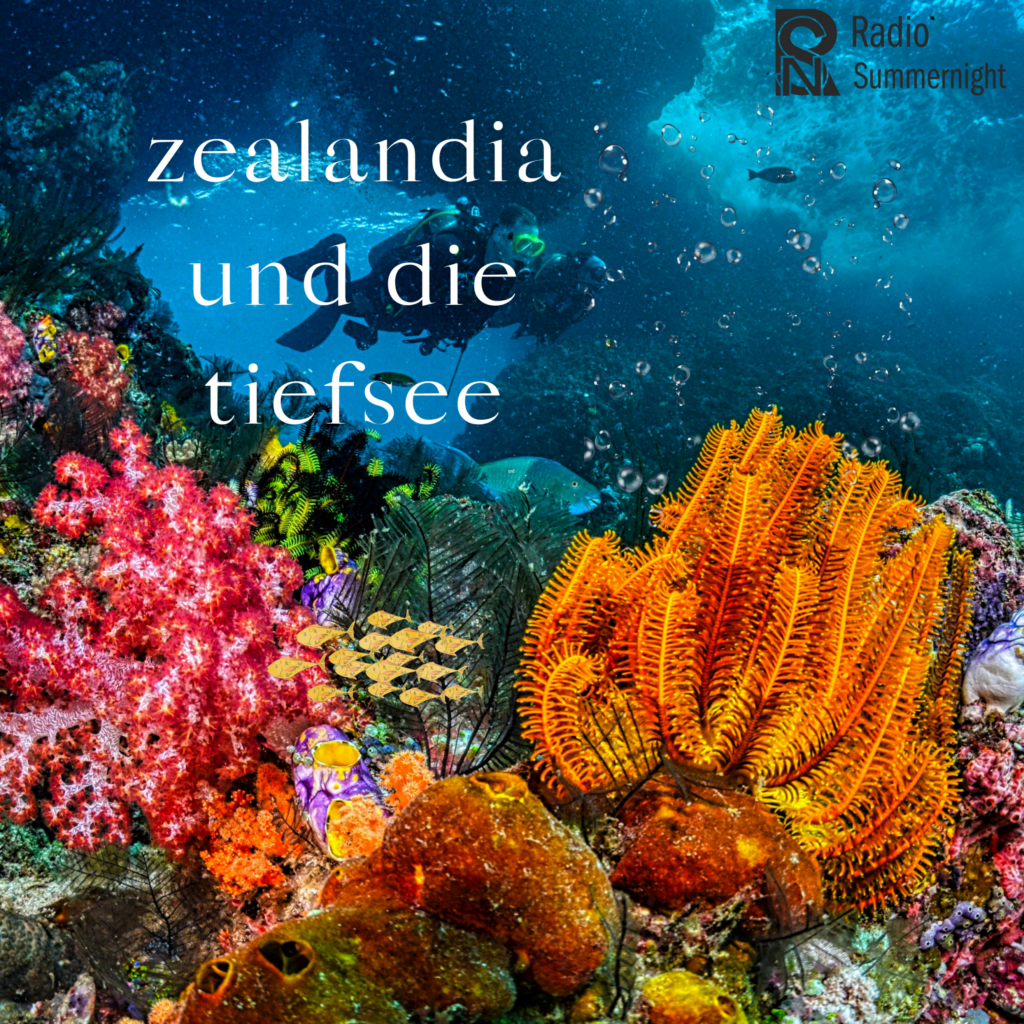 Der achte Kontinent Zealandia und die Tiefsee