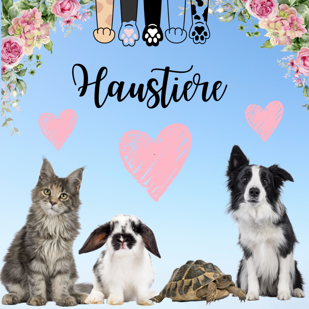 Haustier Wissen mit J,L & L