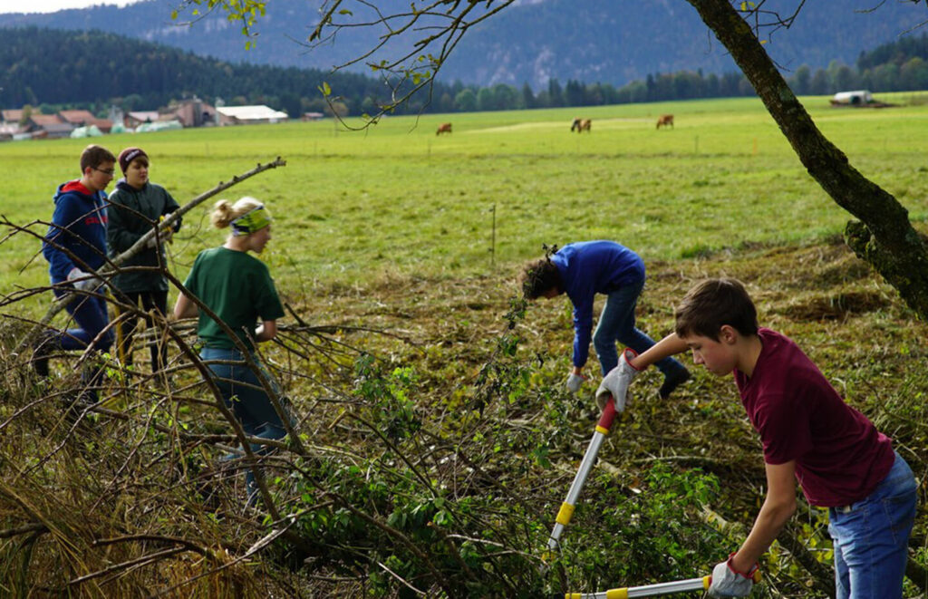 VolonTerra: Junge Menschen packen für die Umwelt an