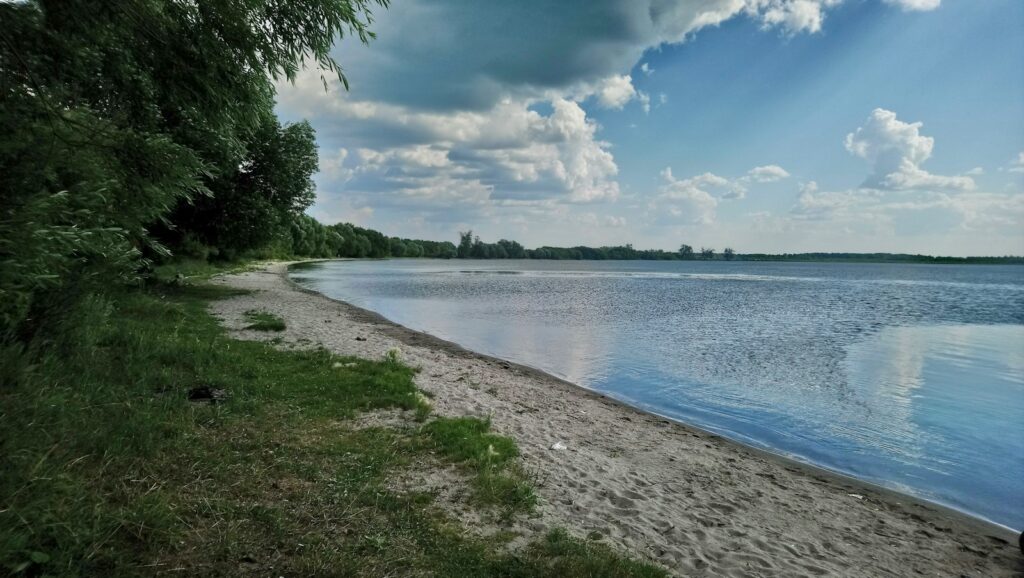 a body of water sitting next to a lush green forest