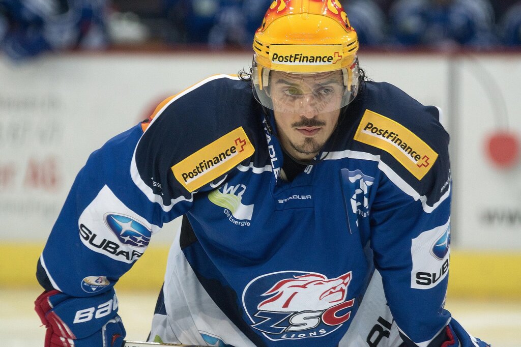 hockey, ice hockey, winter sports, team, stadium, sports, ice sports, players