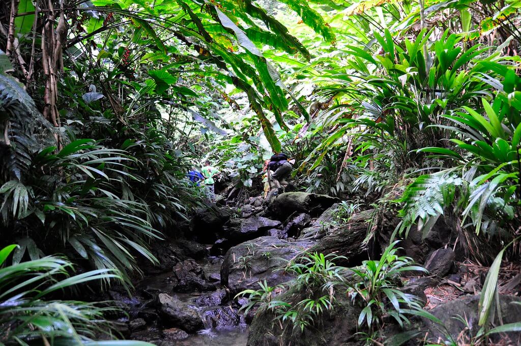 Ferienpass Olten: Amazonas-Regenwald | 7ed62fac 42b8 485a 8aea ad5caa64cdd8 |