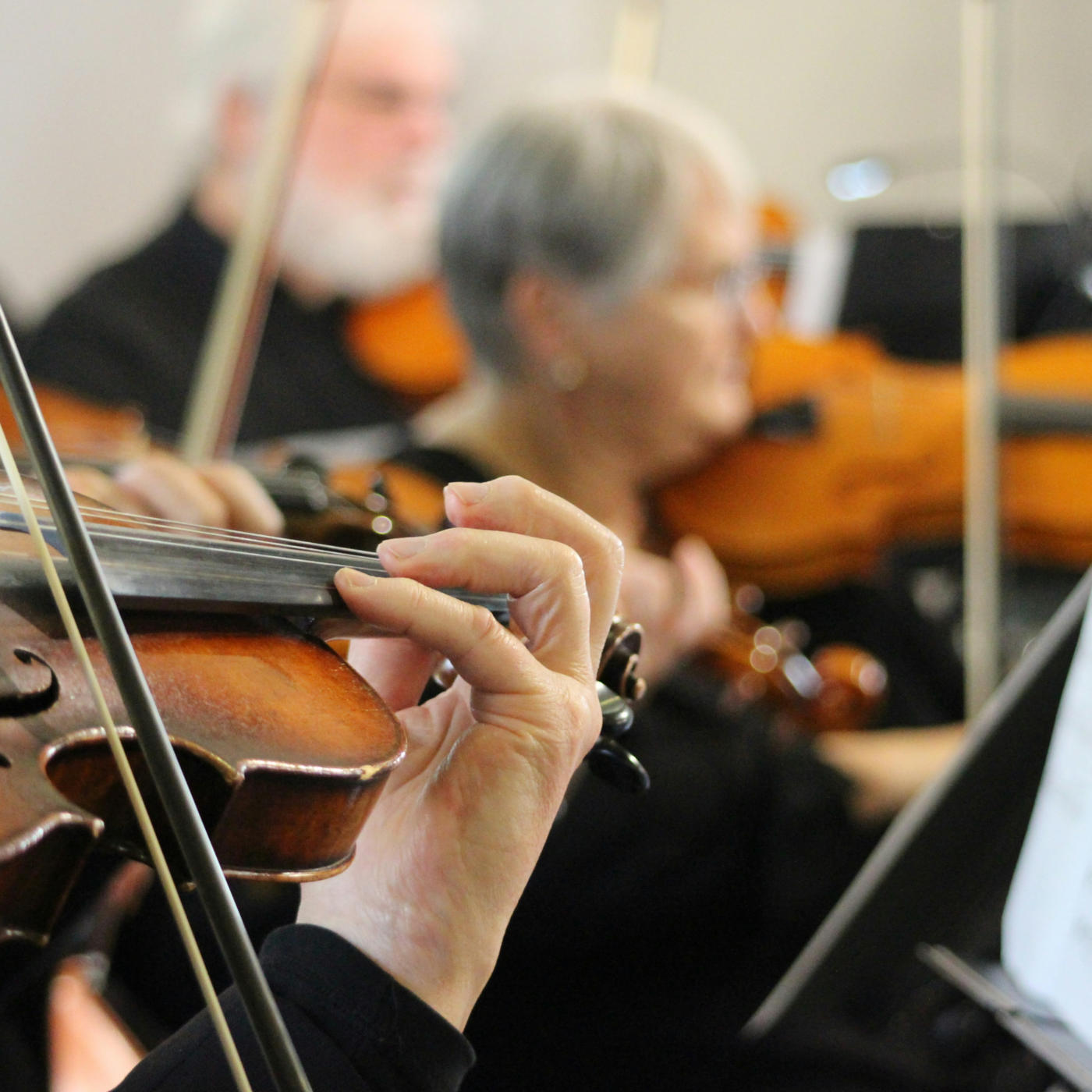 BWZ: Musik Kulturen | 8sg4p5ab |