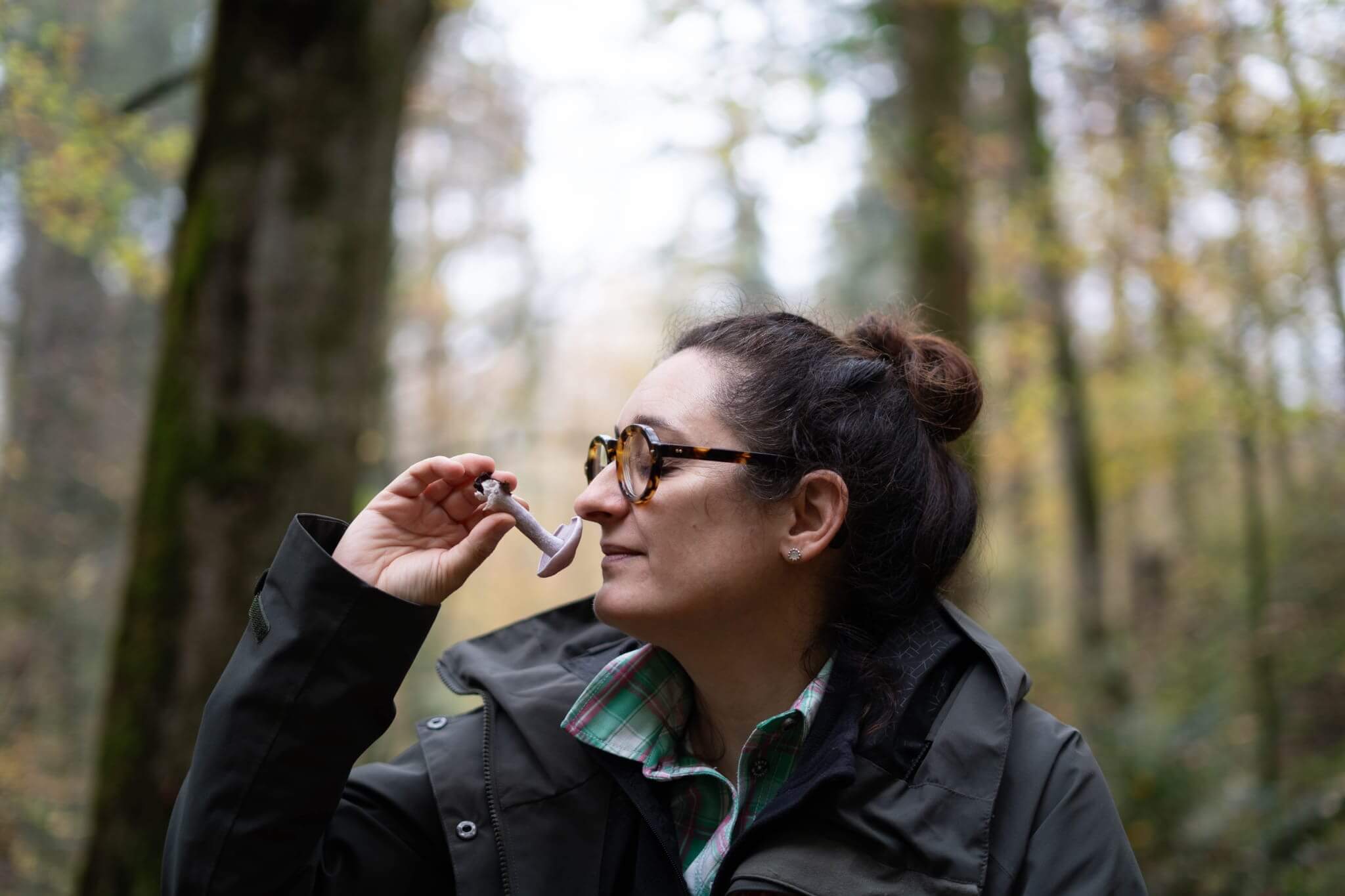 9429600a 2034 42c1 9f96 44fc29f77058 |