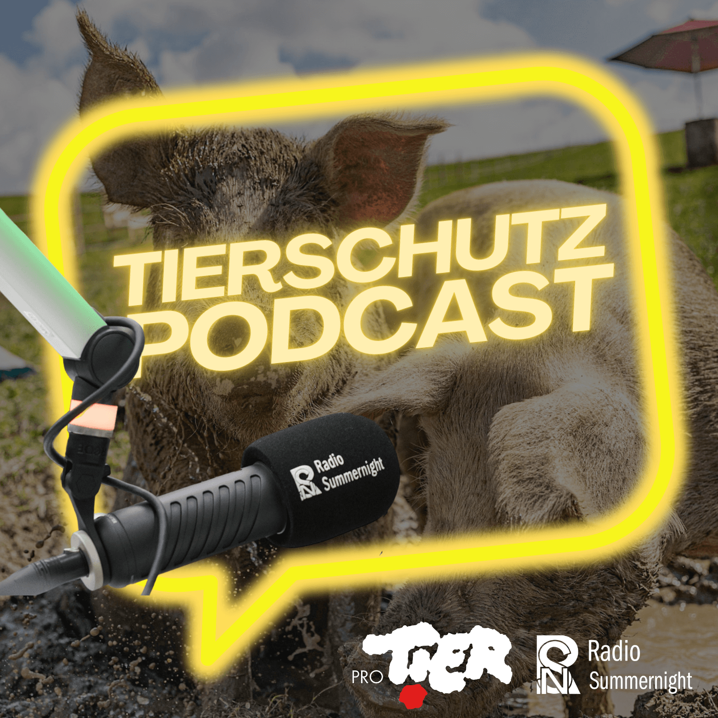 Intro Tierschutz Podcast | Willkommen zu unserem Tierschutzpodcast! Begleite uns auf einer faszinierenden Reise durch die Welt des Tierschutzes. Wir werden spannende Themen wie Nutztierhaltung, Artenschutz und Tierversuche erkunden. Wir werden Experten und Aktivisten treffen, die uns zeigen, wie wir das Wohlbefinden unserer tierischen Mitbewohner verbessern können. Komm mit uns, um gemeinsam das Bewusstsein für den Tierschutz zu schärfen und aktiv an einer besseren Zukunft für unsere tierischen Freunde mitzuwirken. Dieser Podcast wird präsentiert von ProTier. ProTier setzt sich seit 75 Jahren für mehr Tierwohl in der Schweiz ein. Alle Informationen zu aktuellen Kampagnen und Projekten findest du auf www.protier.ch Cover Tierschutz Podcast 1 |