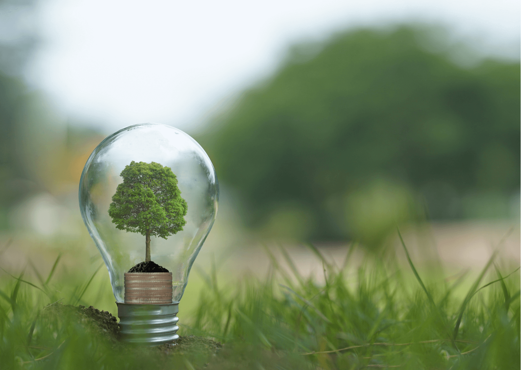 Energie im Fokus: Grundlagen, Quellen und Folgen | In der ersten Folge des Energie-Podcasts beschäftigen wir uns mit den grundlegenden Fragen: Was ist Energie? Welche Energiequellen gibt es? Und was sind die Auswirkungen und Konsequenzen von Energie? Dafür habe ich mir Unterstützung von Patrick Hofstetter, Klima- und Energieexperte beim WWF, geholt. Gemeinsam haben wir darüber gesprochen, welche Energieformen heute mehr Schaden als Nutzen anrichten und welche erneuerbaren Energien als Alternativen zur Verfügung stehen. Ausserdem haben wir den politischen, wirtschaftlichen und sozialen Zusammenhang von Energie genauer beleuchtet. Patrick hat uns auch erklärt, welchen Anteil Energie am Klimawandel hat und was wir dagegen tun können. Zum Abschluss gibt Patrick noch wertvolle Tipps. Cover1 |