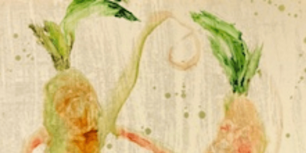 Vorhang fällt, Hund bellt | Ein klarer Unterschied zwischen Mensch, Tier, Tod und Leben? Kopie von Artikel Bild Aarau24 4 |