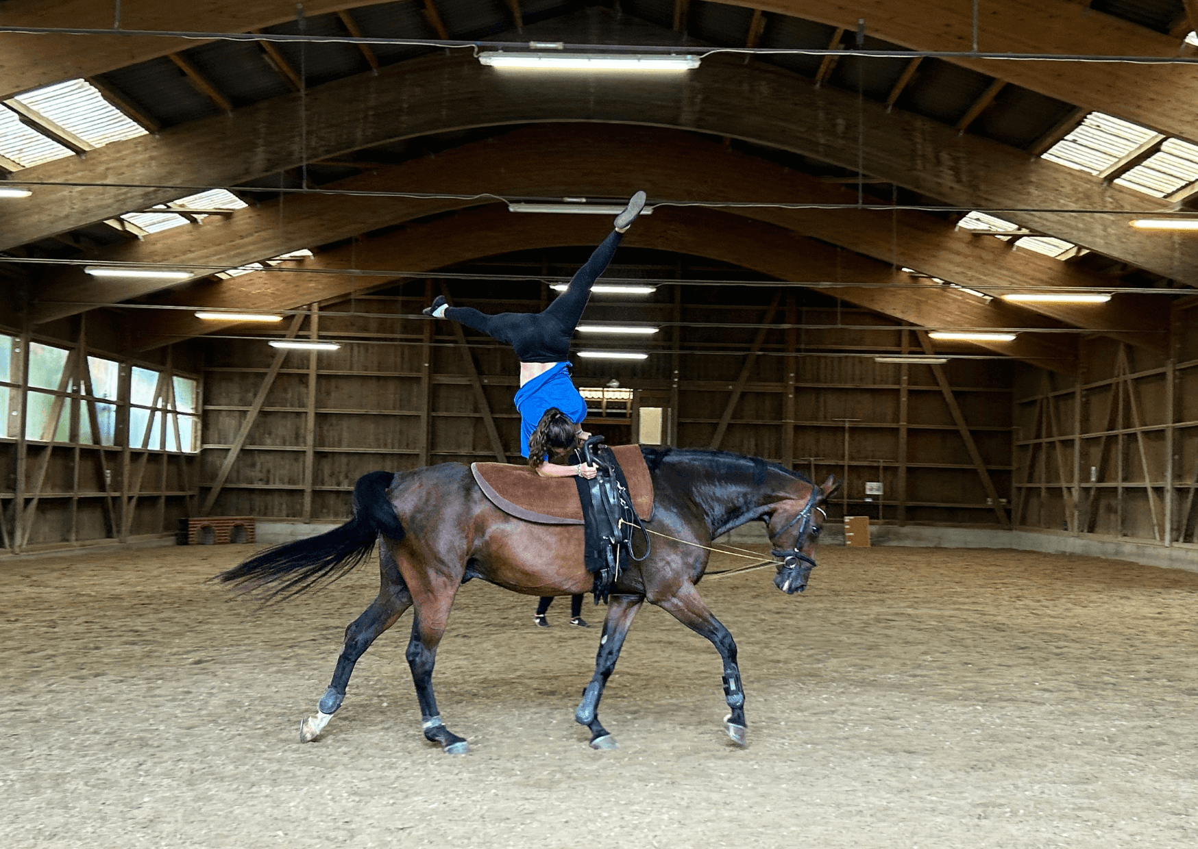 Zwischen Eleganz und Athletik: Eine Reise in die Welt des Voltigierens | „Voltige ist wie Geräteturnen, nur ist das Gerät das Pferd“. So würde Tamara, Trainerin vom Voltigeverein Stäfa es jemanden erklären der nicht weiss was Voltige ist. Dies kommt noch oft vor, denn Voltige ist eine Randsportart. Um den Sport ein wenig mehr Bekanntheit zu schenken, habe ich mich für euch schlau gemacht, mehr davon erfährt ihr im Beitrag. Kopie von Artikel Bild radiosummernight.ch 2 19 |
