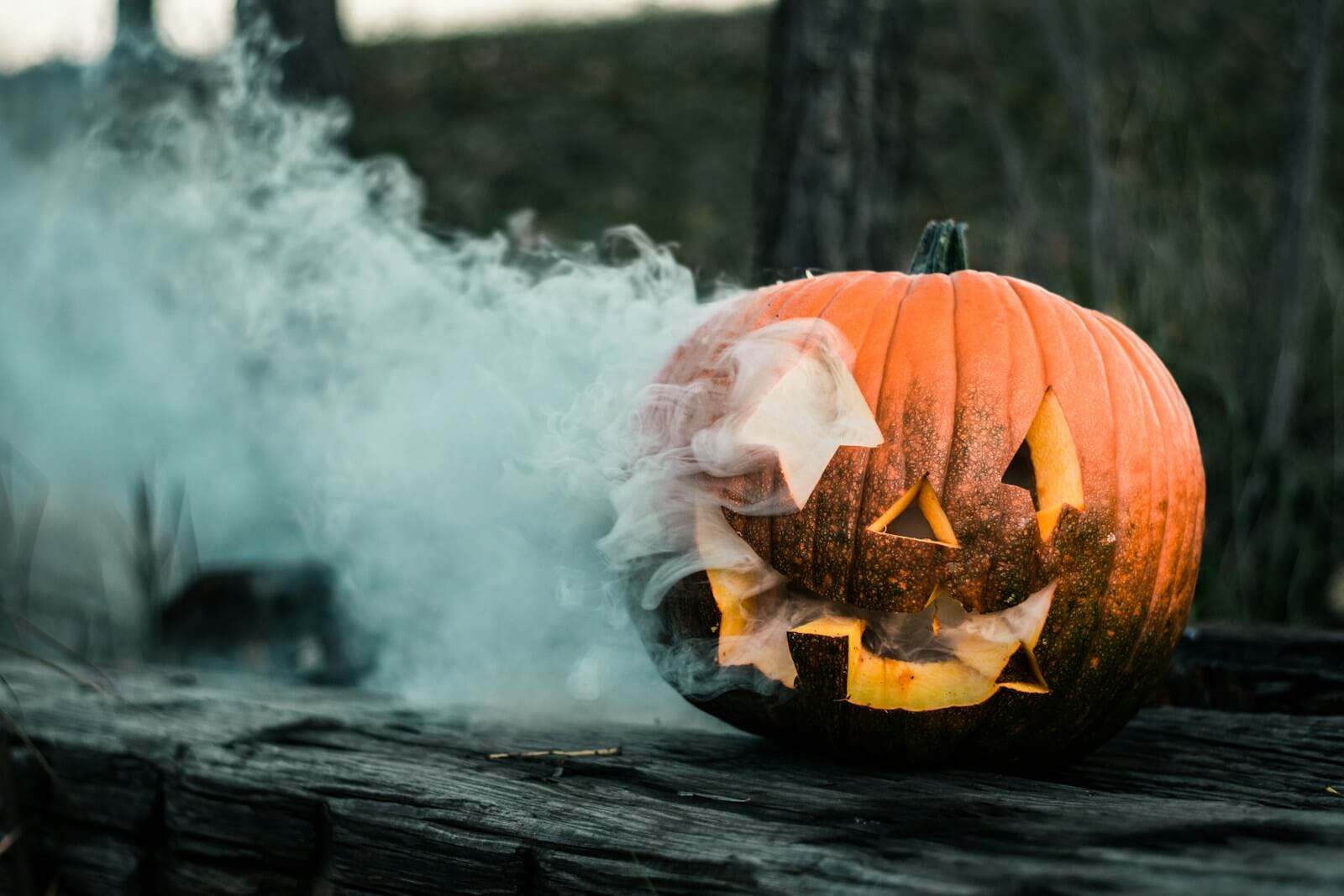Ferienpass Rapperswil : Halloween | close-up of pumpkin near wall