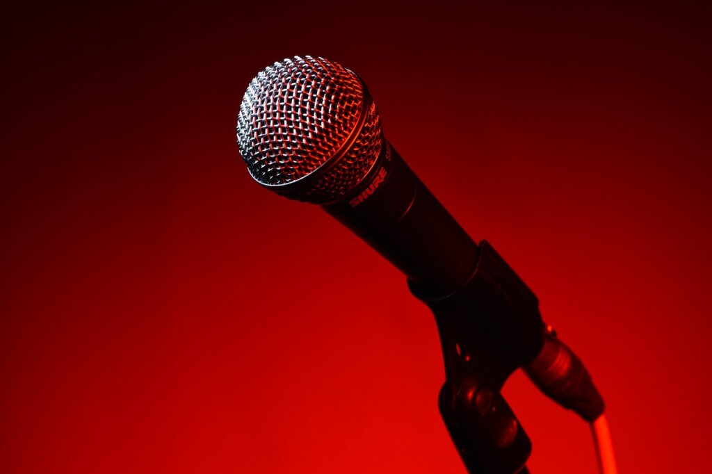 microphone 5510245 12801 |