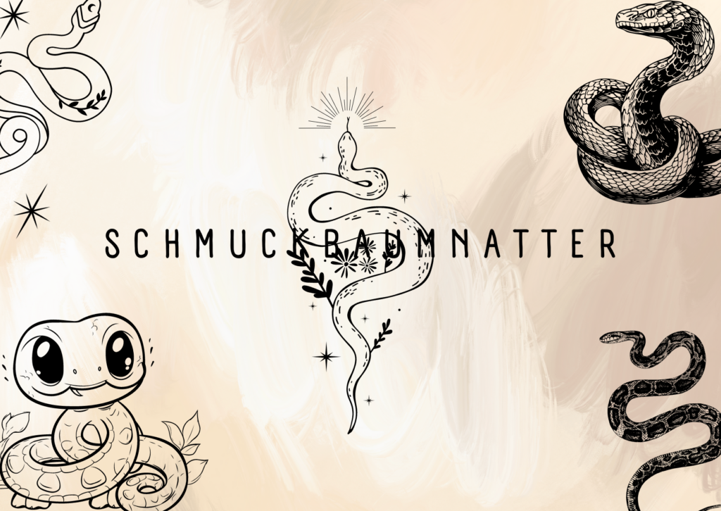 Schmuckbaumnatter |