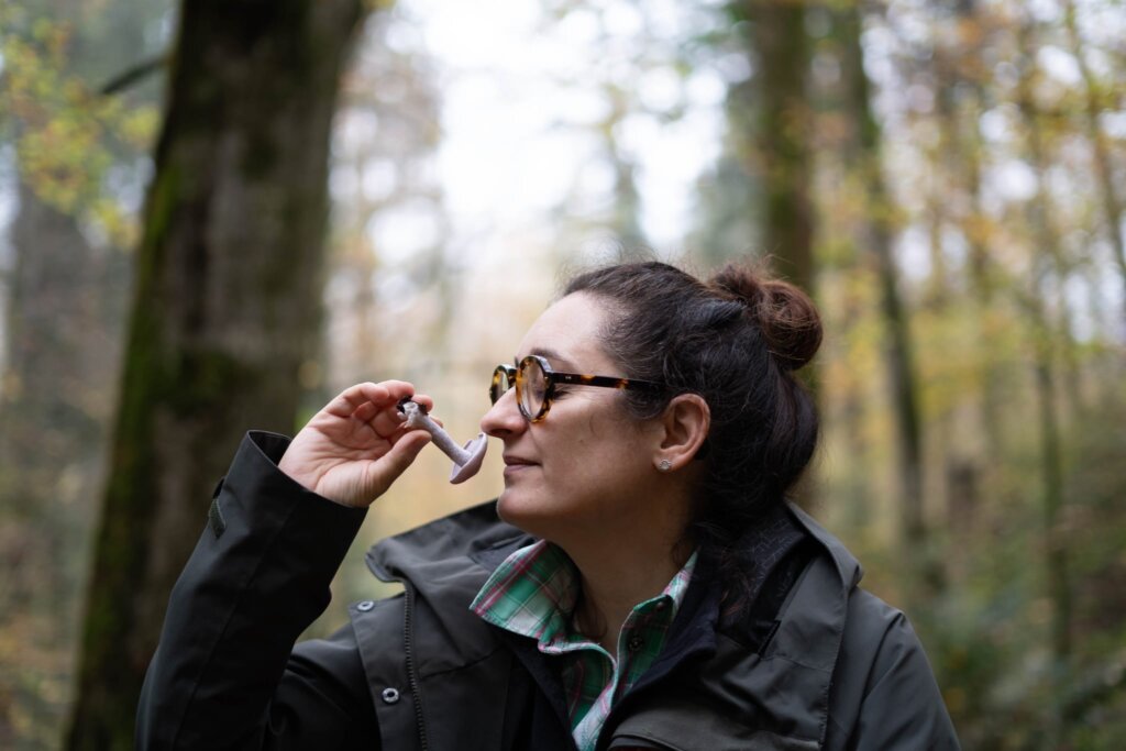 9429600a 2034 42c1 9f96 44fc29f77058 |